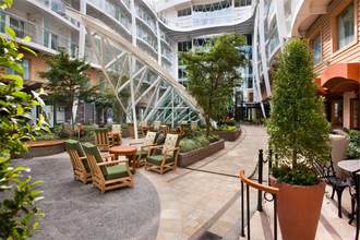 Royal Caribbean International Oasis of the Seas Interior Central Park 06.jpg